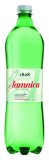 Jamnica GAZIRANA MINERALNA VODA 1 l