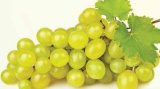 Bijelo grožđe 1 kg