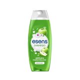 Šampon za kosu, razne vrste Esens 1 L