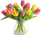 BUKET TULIPANA 7 komada, razne boje