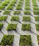 Betonska travna ploča