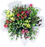 BUKET KARANFILA 10 komada