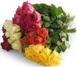 BUKET RUŽA 7 komada