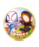 Lopta s otiskom po licenci 1 kom.