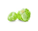 Salata Iceberg, zemlja podrijetla Španjolska komad