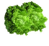 Salata Kristal 1 kom