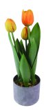 Tulipan u posudi 47 cm, 1 kom