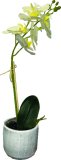 Cvijet orhideja Umjetna, 30 cm, Bijela 1 komad