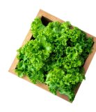 Salata kristal 1 kom