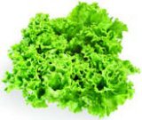 SALATA KRISTAL 1 kom