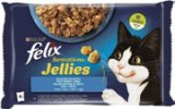 FELIX SENSATIONS