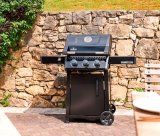 Plinski rostilj F365DPK-1-SI FREESTYLE 1 kom 