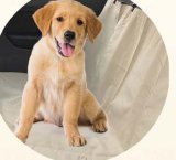 PAWISE Presvlaka za auto, bež, 141x137cm