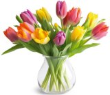 BUKET TULIPANA 7 komada, razne boje 1 buket
