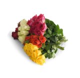 BUKET RUŽA 7 komada, razne boje 1 buket