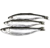 Papalina smrznuto 1 kg