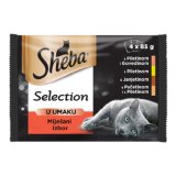 SHEBA SELECTION