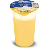 DESERT SA ŠLAGOM VANILIJA 200 g