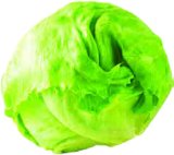 SALATA ICEBERG kom