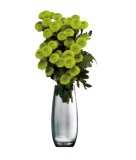 Buket krizantema Santini