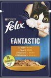 FELIX FANTASTIC 85 g