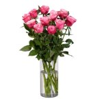 Rezano cvijeće - Ruže