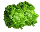 Salata Kristal 1 kom