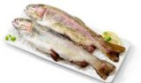 SVJEŽA PASTRVA Uzgoj: Rijeka Ruda 1 kg