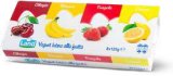 JOGURT VOĆNI MIX 8 kom. 1 kg