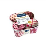 Sladoled Royal Simphony Gelatino 1650 ml