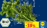 Bio salata (matovilac i rukola)