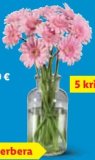 Rezano cvijeće komad već od 2,99 e