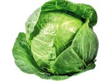 KUPUS MLADI 1 kg