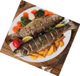 Svježa gacka pastrva 550 g