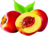 Nektarina Rinfuza 1 kg 