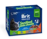 BRIT PREMIUM Komadići u umaku Sterilised Plate Multipack, 1020g (12x100g)