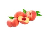 BRESKVA PLOSNATA 500 g
