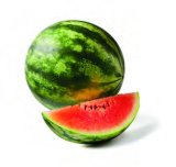 Bio mini lubenica 1 kg