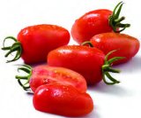 Domaća rajčica snack cherry Sorta: Ternetto 250 g