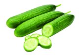 KRASTAVAC 1 kg
