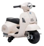 MOTOR DJ.VESPA NA AKUMULATOR 1 kom.