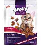 HRANA ZA MAČKE MOLLY PREMIUM 300 g