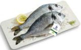 SVJEŽA BIO ORADA 300-600 grama/kom Cromaris 1 kg