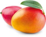 MANGO 1 kom