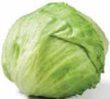 Domaća Iceberg salata 1 kom