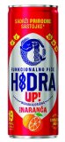 Hidra IZOTONIČNI NAPITAK iso, up, 0,33 l