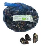 BIO DAGNJA uzgoj Podvelebitski kanal