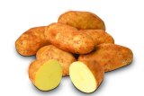 Krumpir mladi 1 kg