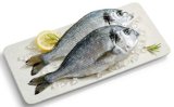 SVJEŽA ORADA 300-400 grama/kom 1 kg