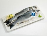 SVJEŽA ORADA 300-400 grama/kom 1 kg